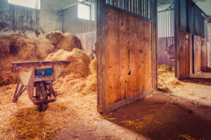 Muck out the stalls horse stalls