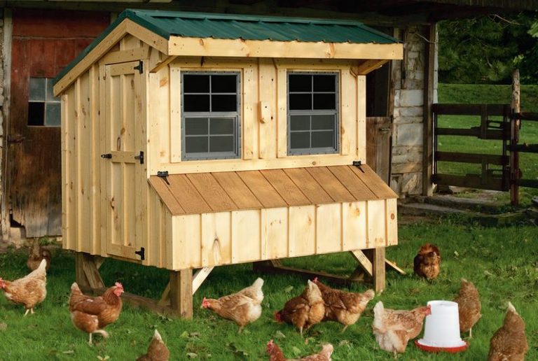 Wooden Chicken Coop