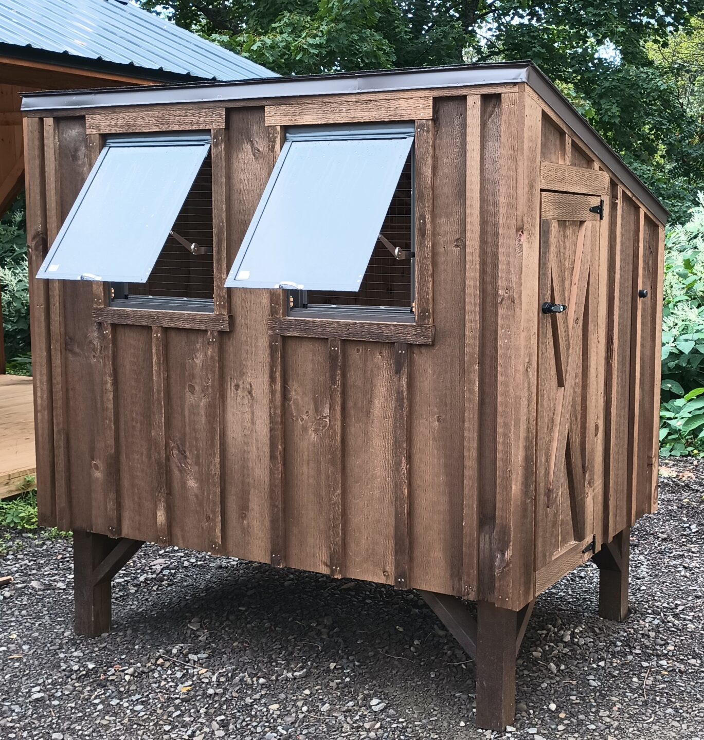 Stained board & batten sided chicken coop with 2 windows