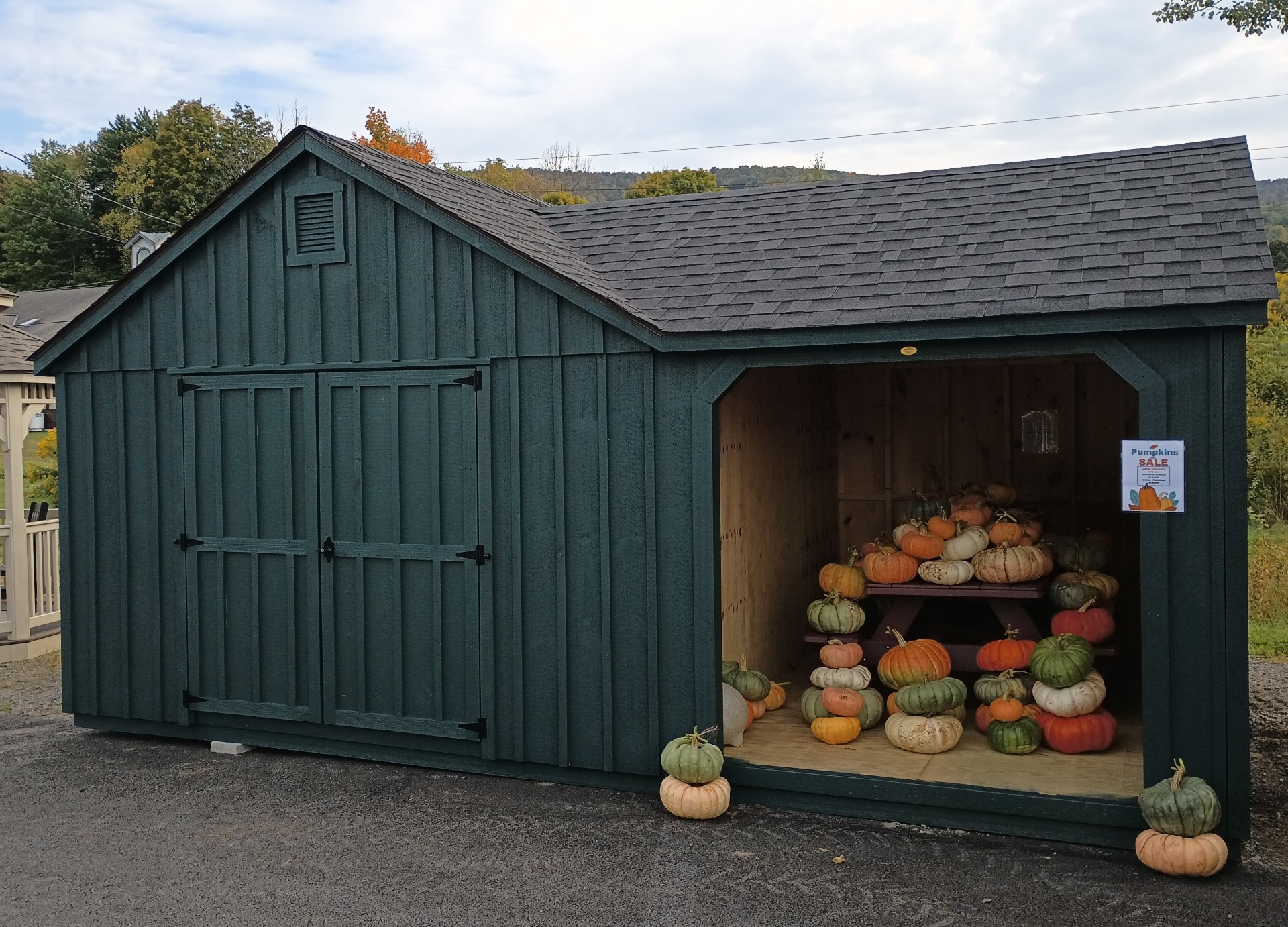 Side view of woodshed with double doors and opening