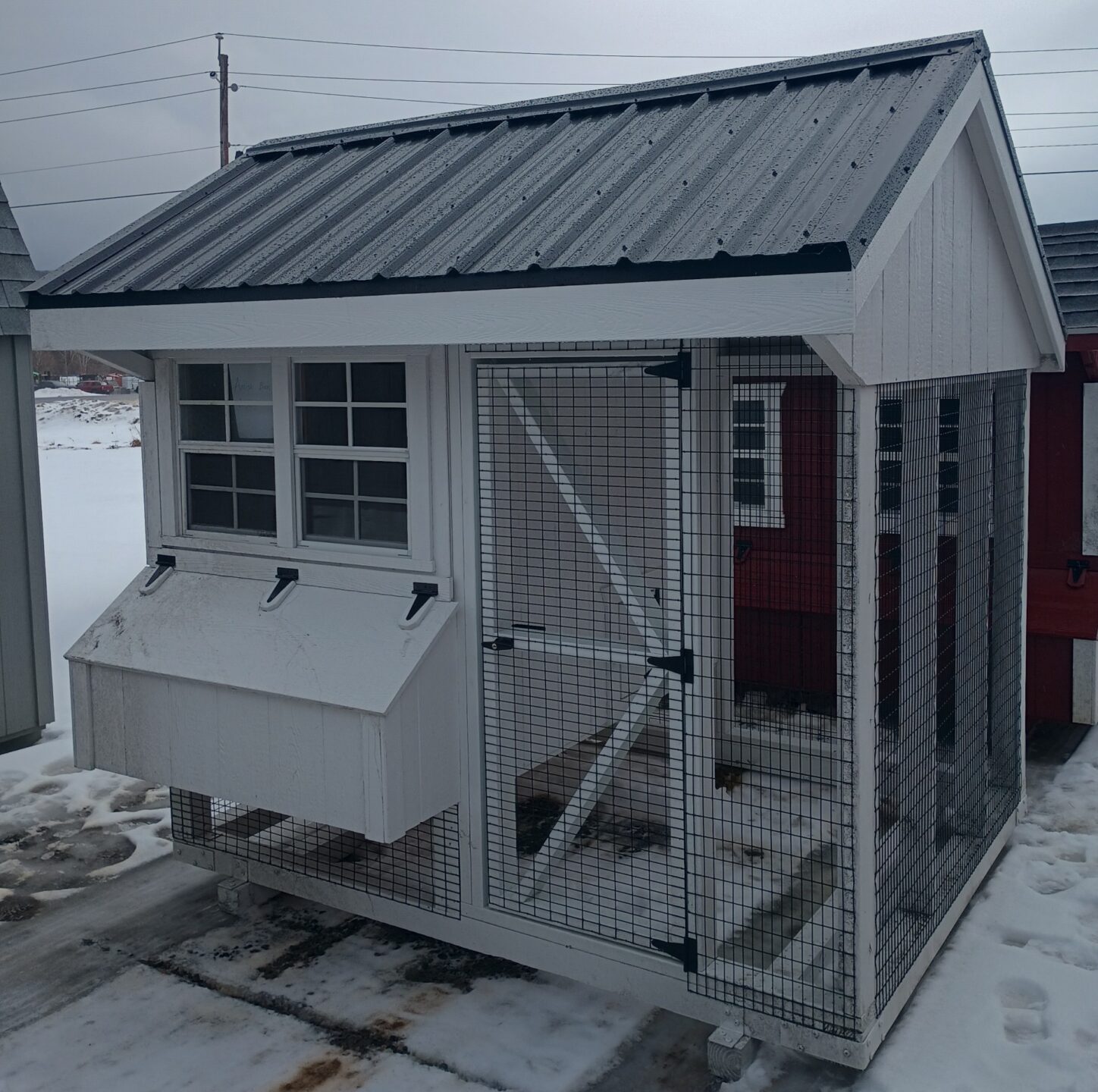 Small white chicken coop with two windows, nesting boxes and metal roof